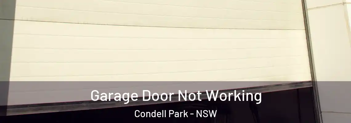 Garage Door Not Working Condell Park - NSW
