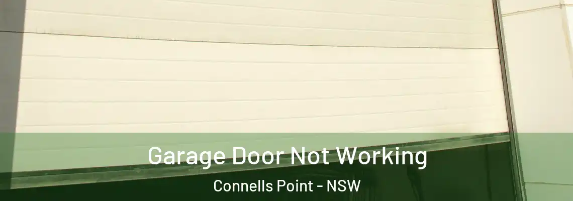 Garage Door Not Working Connells Point - NSW