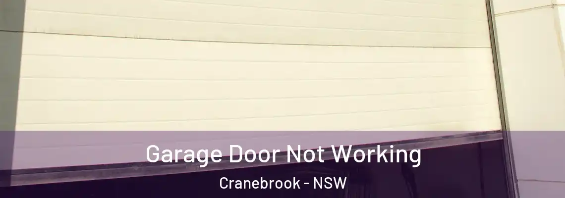 Garage Door Not Working Cranebrook - NSW