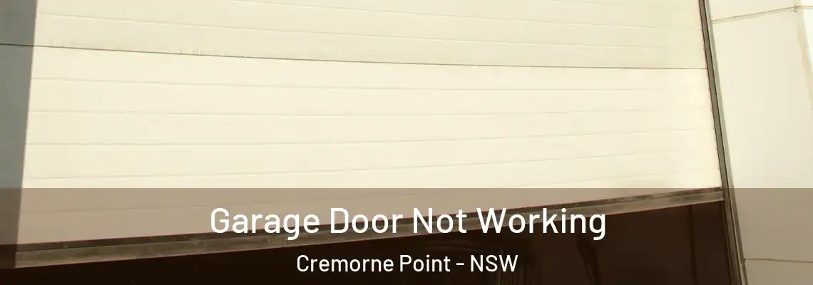 Garage Door Not Working Cremorne Point - NSW