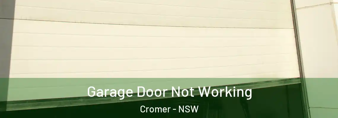Garage Door Not Working Cromer - NSW