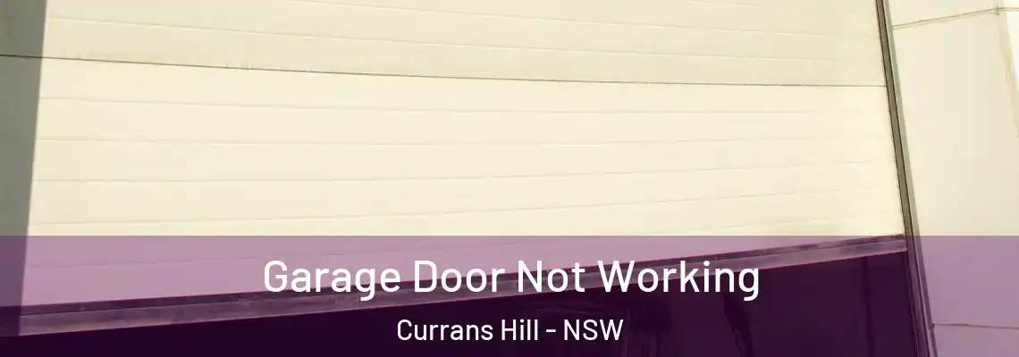 Garage Door Not Working Currans Hill - NSW