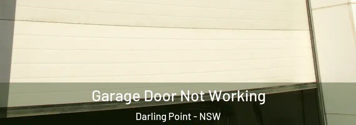 Garage Door Not Working Darling Point - NSW