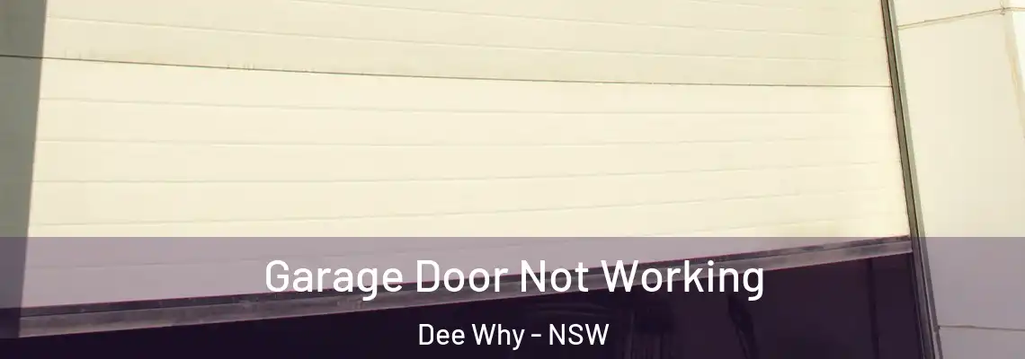 Garage Door Not Working Dee Why - NSW