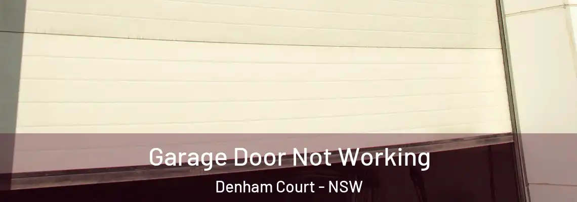 Garage Door Not Working Denham Court - NSW