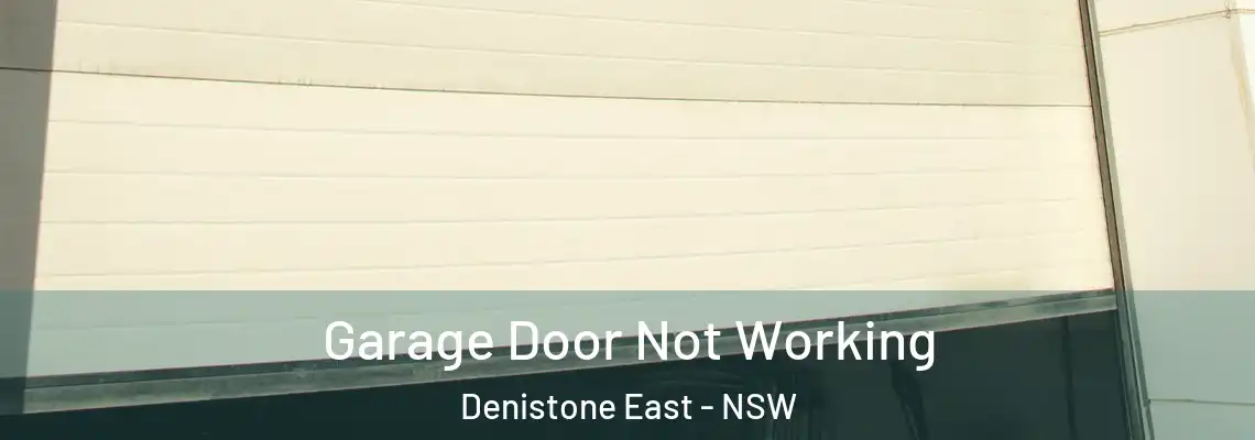 Garage Door Not Working Denistone East - NSW