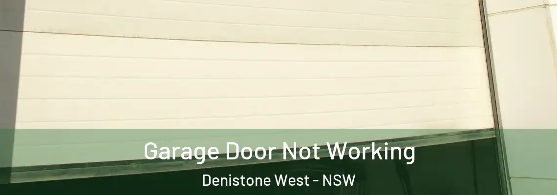 Garage Door Not Working Denistone West - NSW