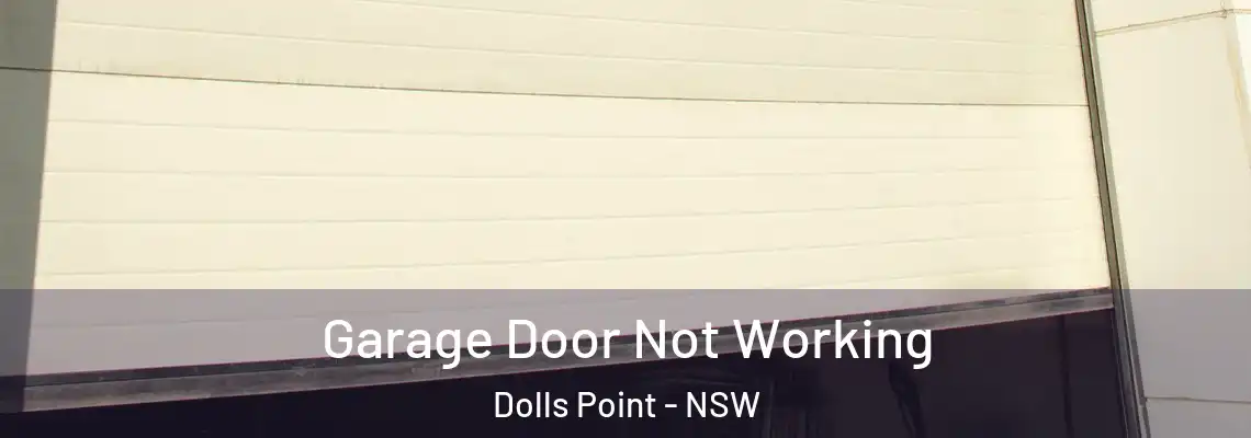 Garage Door Not Working Dolls Point - NSW