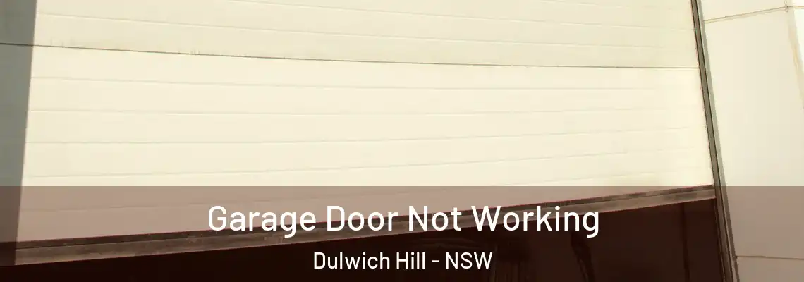 Garage Door Not Working Dulwich Hill - NSW