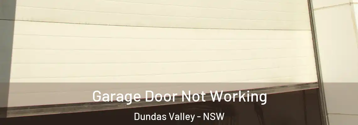 Garage Door Not Working Dundas Valley - NSW