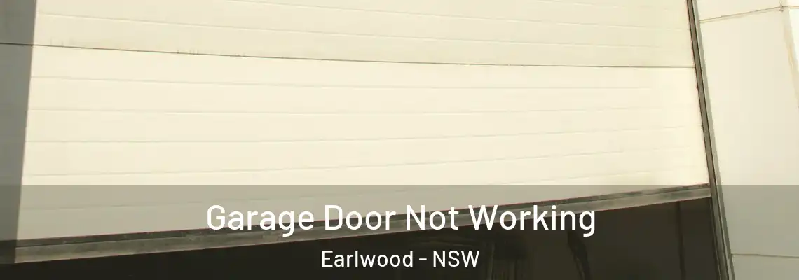 Garage Door Not Working Earlwood - NSW