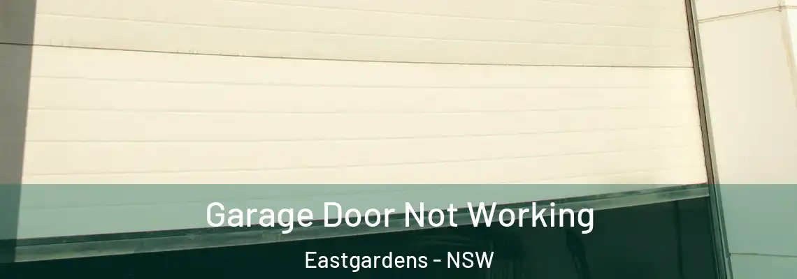 Garage Door Not Working Eastgardens - NSW