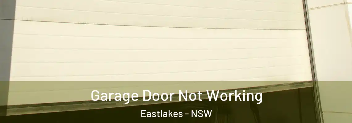 Garage Door Not Working Eastlakes - NSW