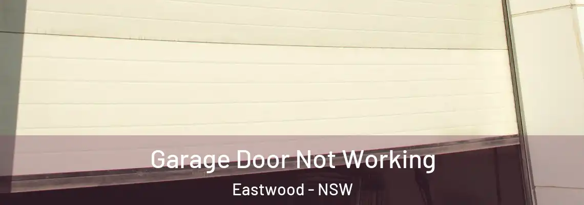 Garage Door Not Working Eastwood - NSW