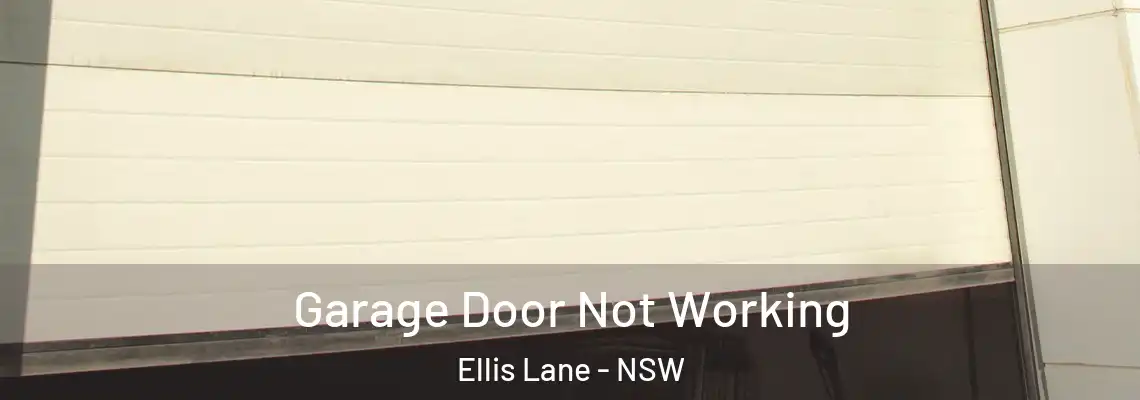 Garage Door Not Working Ellis Lane - NSW