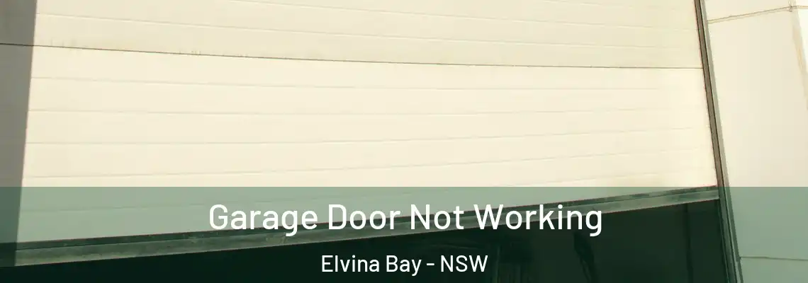 Garage Door Not Working Elvina Bay - NSW