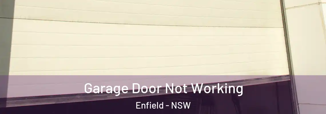 Garage Door Not Working Enfield - NSW