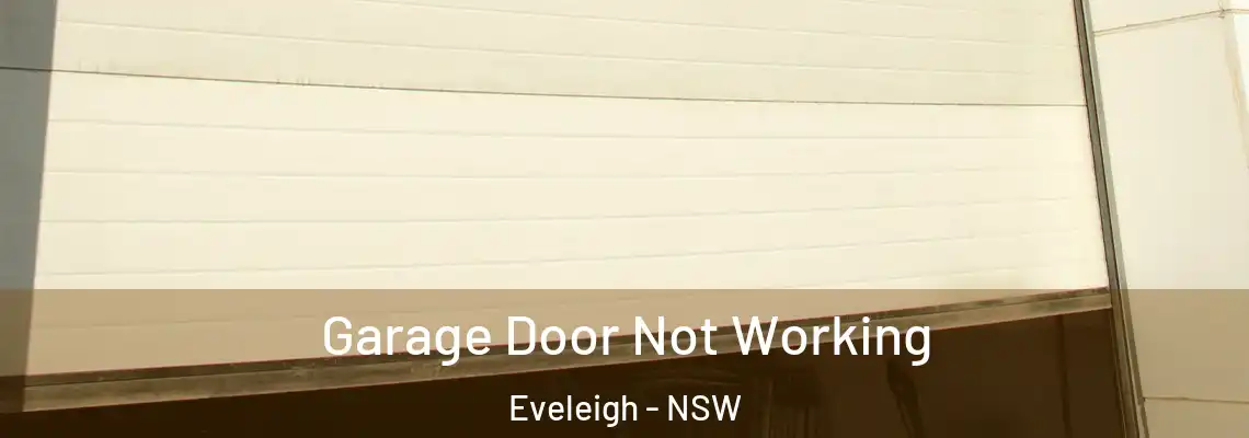 Garage Door Not Working Eveleigh - NSW