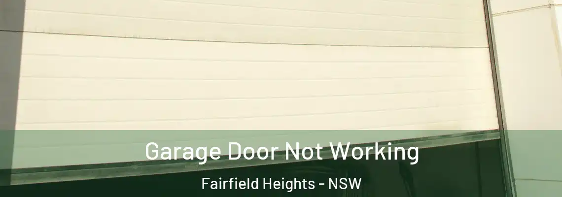 Garage Door Not Working Fairfield Heights - NSW
