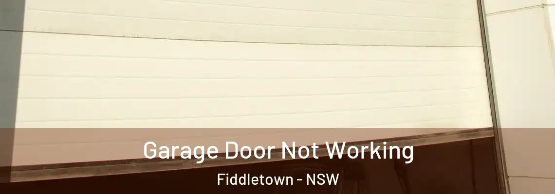Garage Door Not Working Fiddletown - NSW
