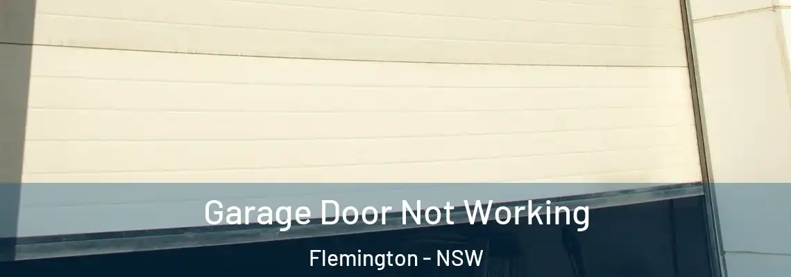 Garage Door Not Working Flemington - NSW
