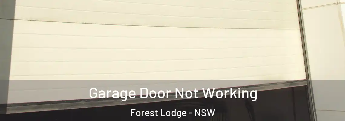 Garage Door Not Working Forest Lodge - NSW