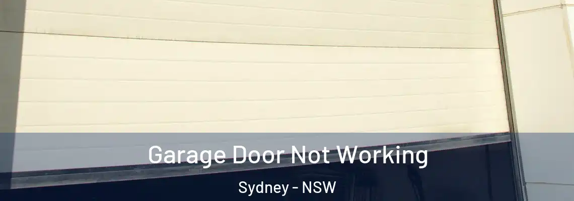 Garage Door Not Working Sydney - NSW