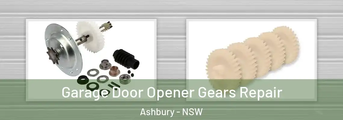 Garage Door Opener Gears Repair Ashbury - NSW