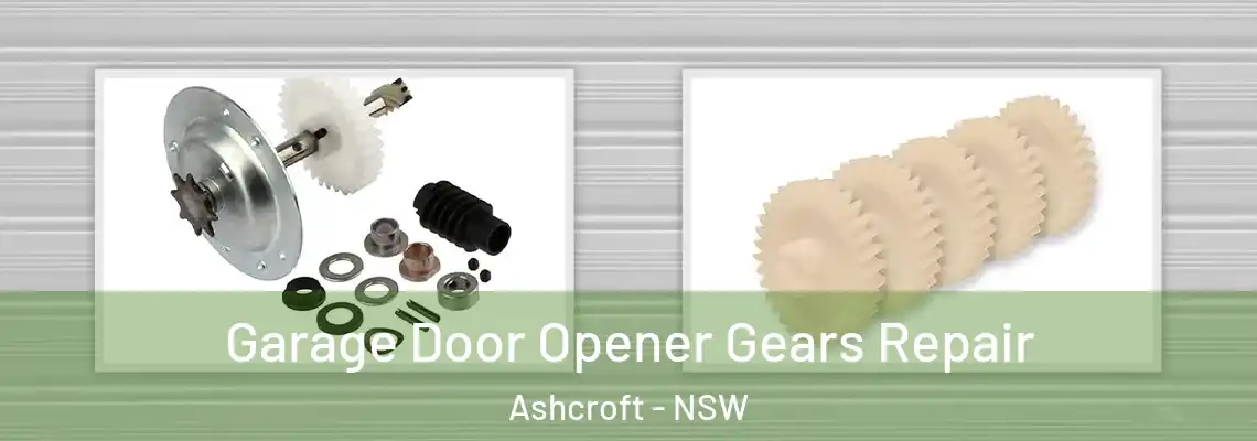 Garage Door Opener Gears Repair Ashcroft - NSW