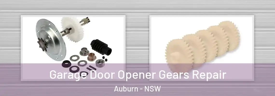  Garage Door Opener Gears Repair Auburn - NSW