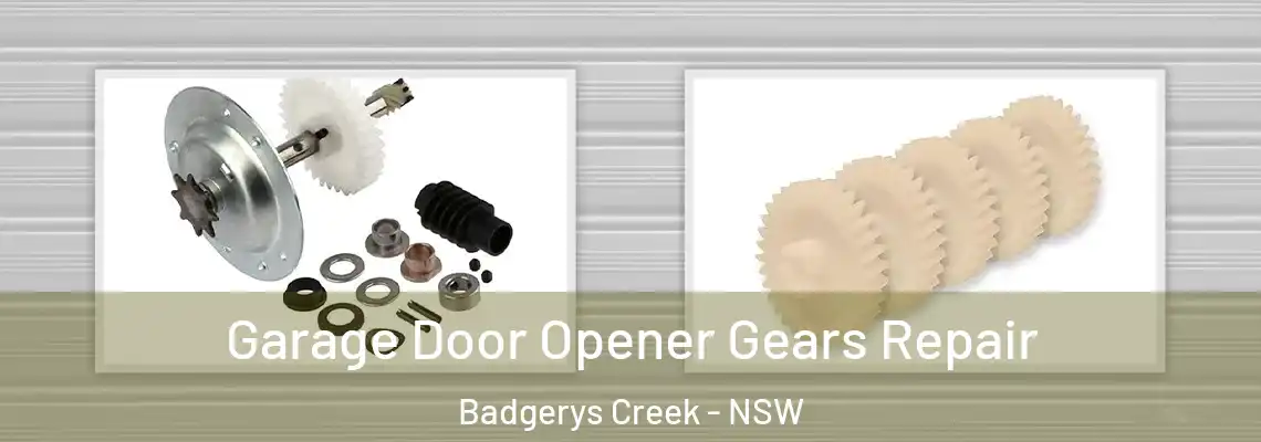 Garage Door Opener Gears Repair Badgerys Creek - NSW