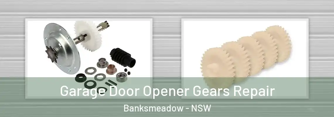 Garage Door Opener Gears Repair Banksmeadow - NSW
