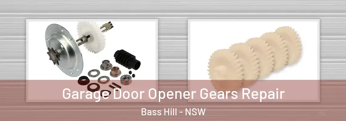 Garage Door Opener Gears Repair Bass Hill - NSW