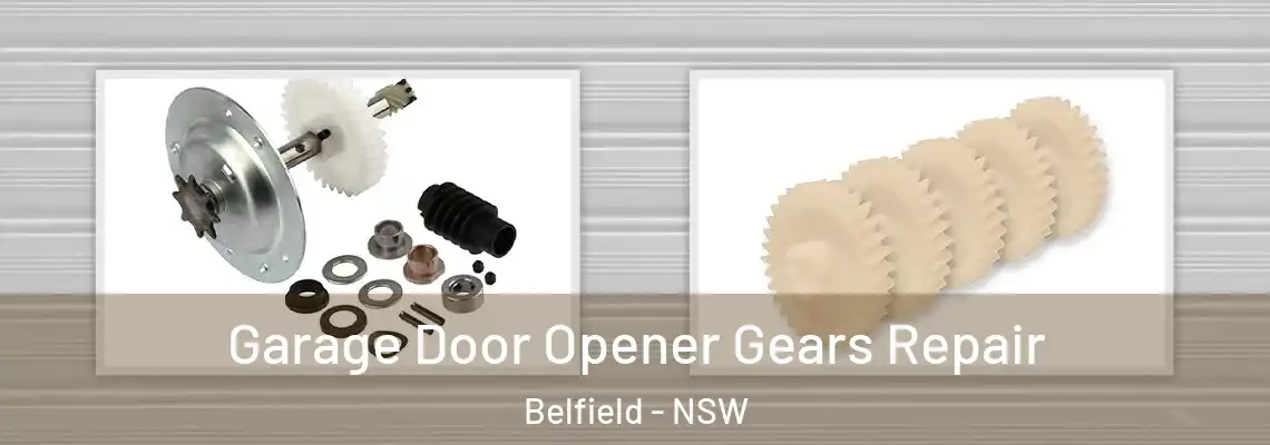 Garage Door Opener Gears Repair Belfield - NSW