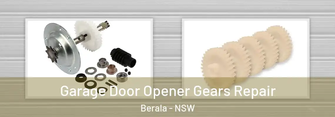 Garage Door Opener Gears Repair Berala - NSW