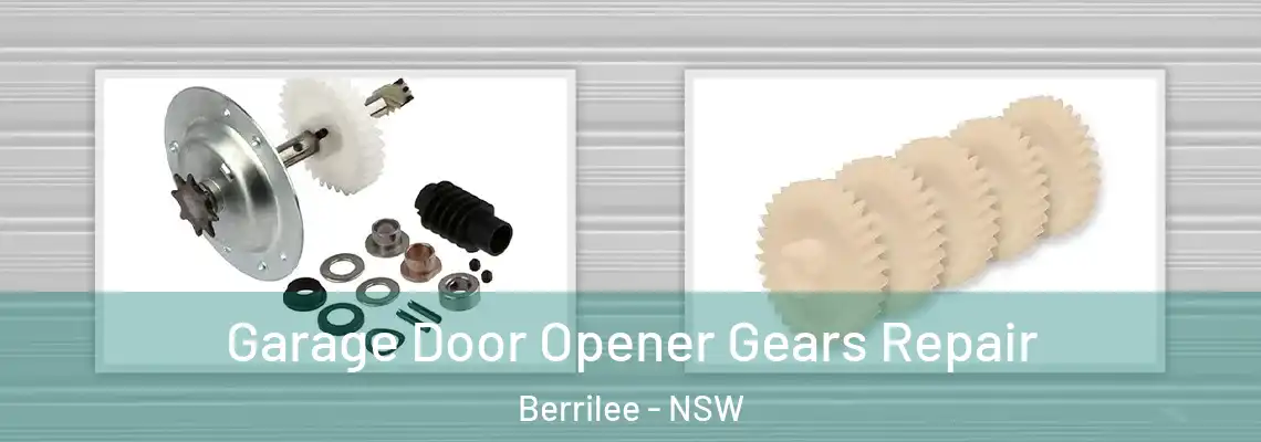 Garage Door Opener Gears Repair Berrilee - NSW