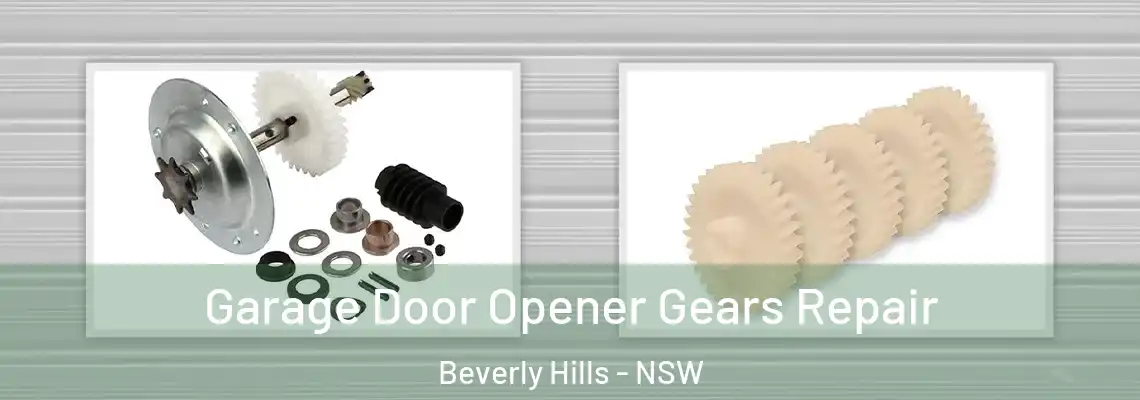 Garage Door Opener Gears Repair Beverly Hills - NSW