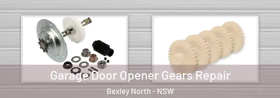 Garage Door Opener Gears Repair Bexley North - NSW