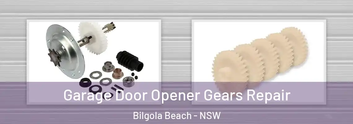 Garage Door Opener Gears Repair Bilgola Beach - NSW