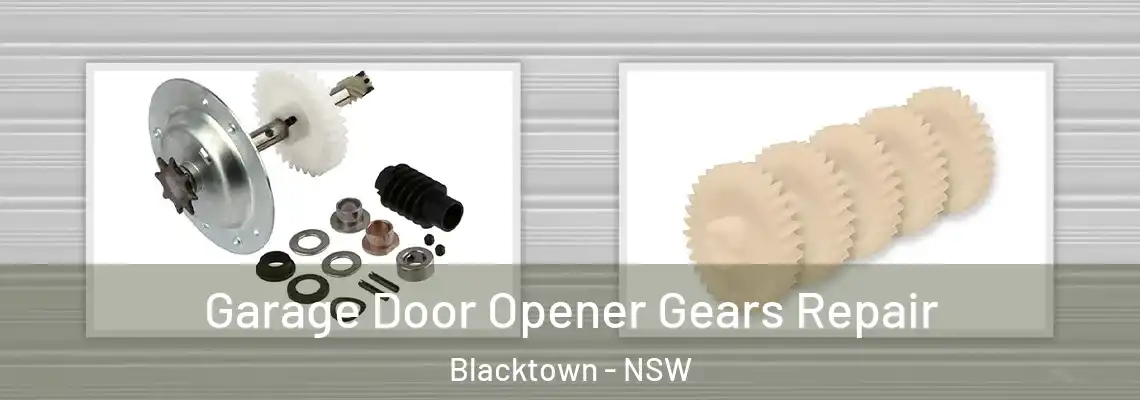  Garage Door Opener Gears Repair Blacktown - NSW