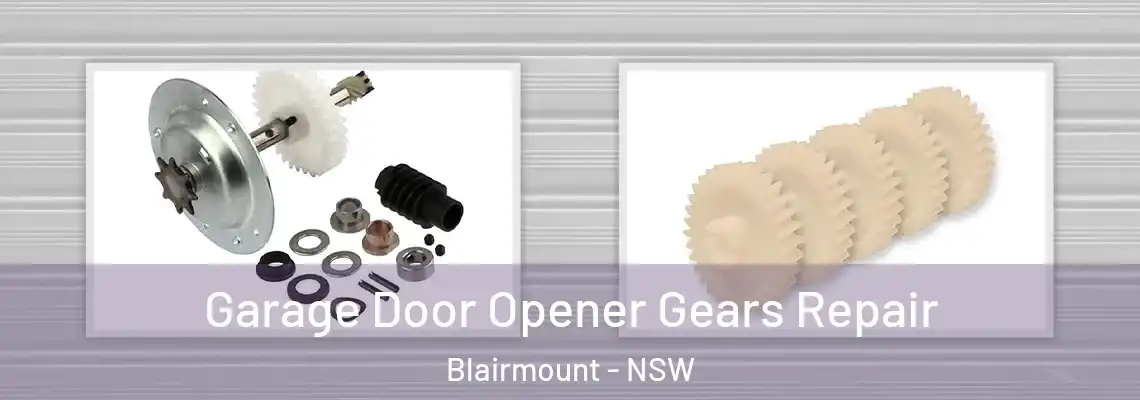Garage Door Opener Gears Repair Blairmount - NSW