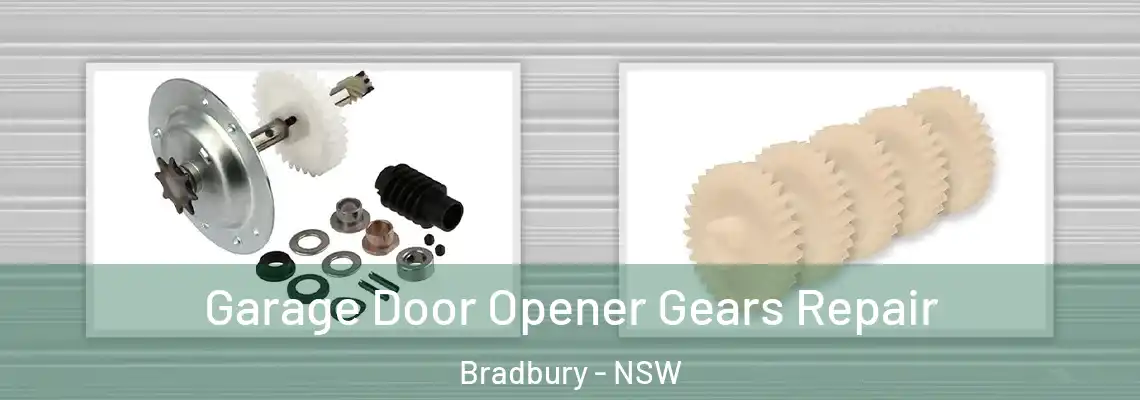 Garage Door Opener Gears Repair Bradbury - NSW