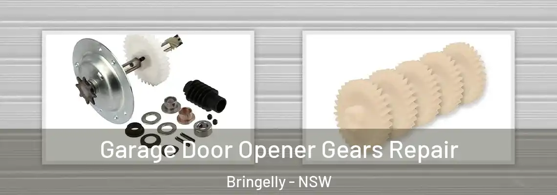 Garage Door Opener Gears Repair Bringelly - NSW