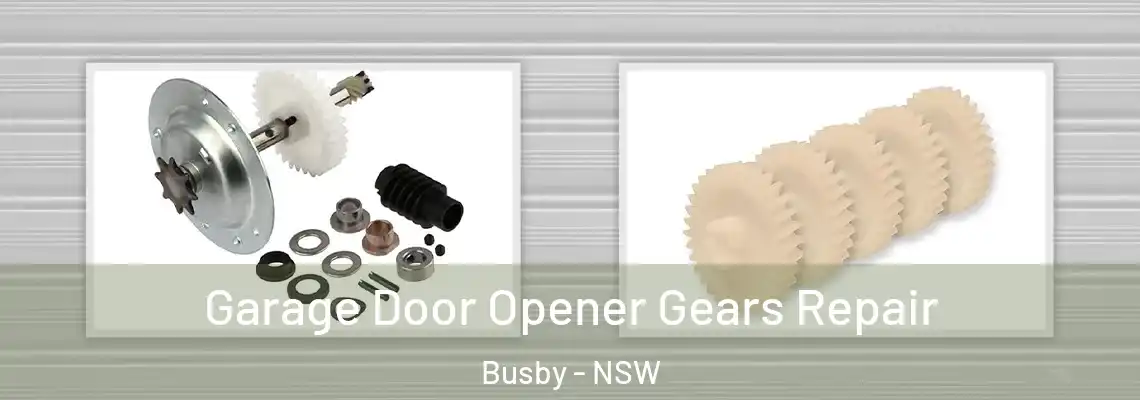 Garage Door Opener Gears Repair Busby - NSW