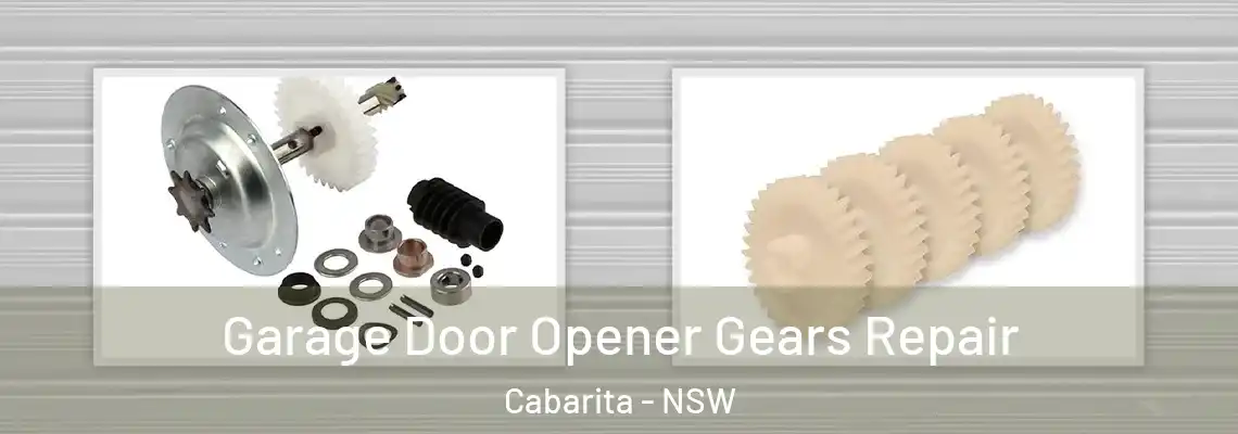 Garage Door Opener Gears Repair Cabarita - NSW