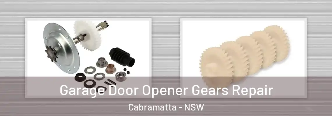  Garage Door Opener Gears Repair Cabramatta - NSW