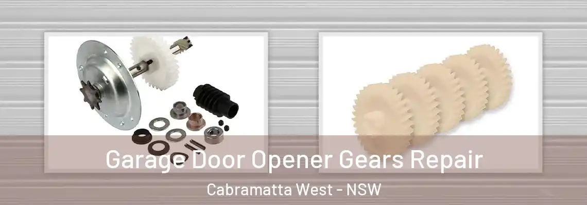 Garage Door Opener Gears Repair Cabramatta West - NSW