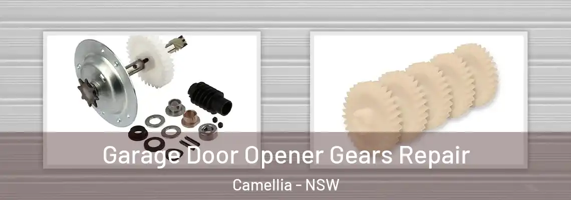 Garage Door Opener Gears Repair Camellia - NSW