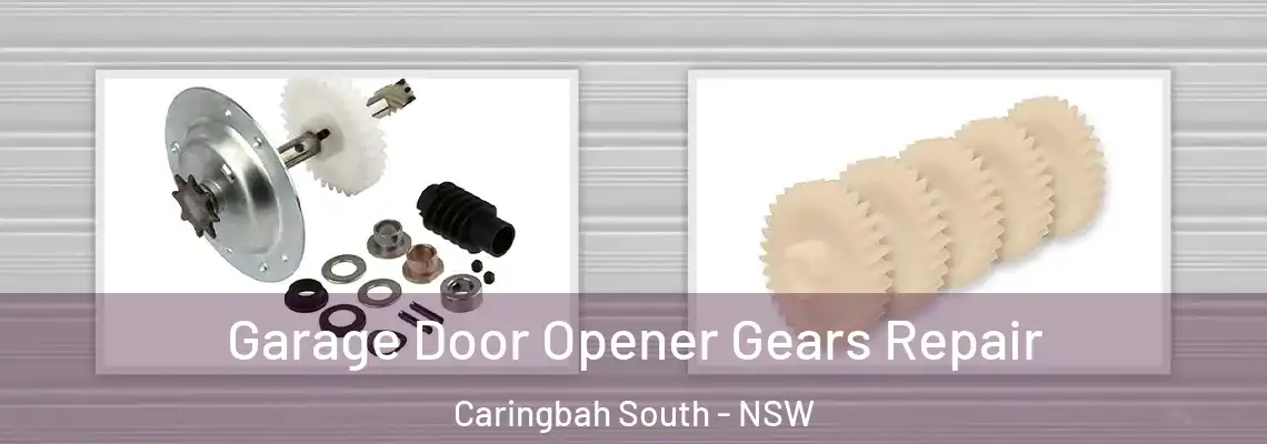 Garage Door Opener Gears Repair Caringbah South - NSW