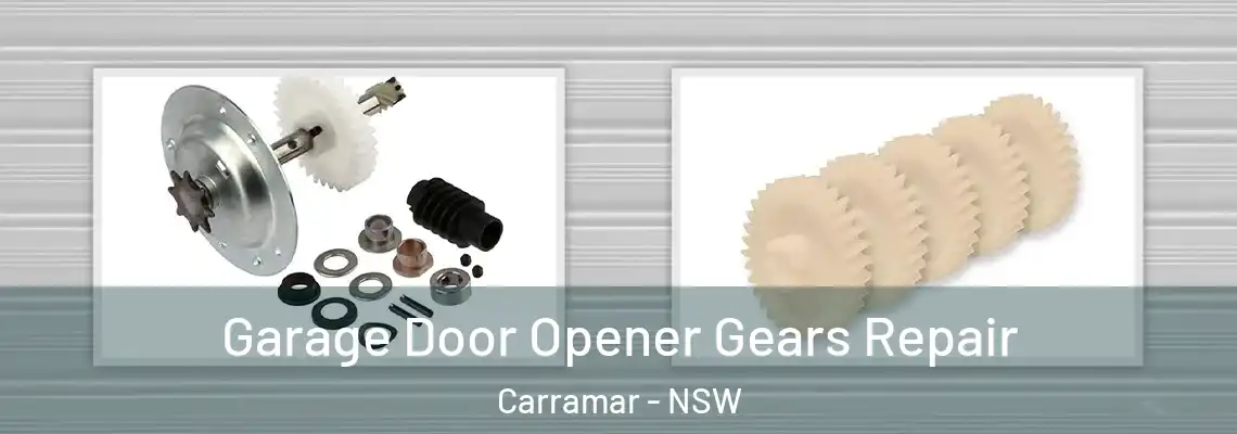 Garage Door Opener Gears Repair Carramar - NSW